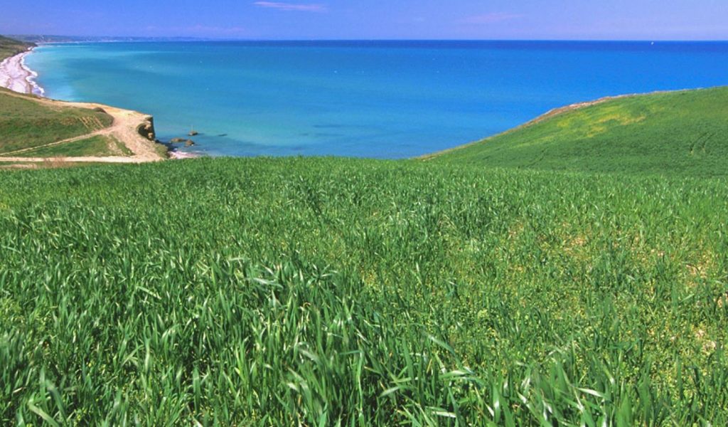 RegioneAbruzzo_CH_Vasto_RiservaPunta-Aderci